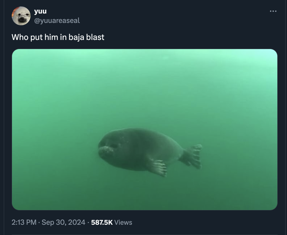 dugong - yuu Who put him in baja blast Views